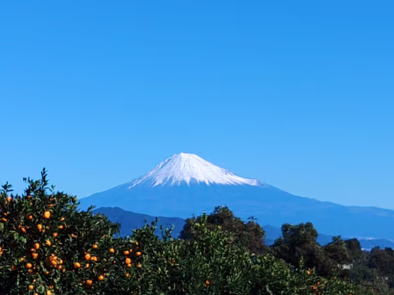 Shimizu Private Tour - Mont Fuji
