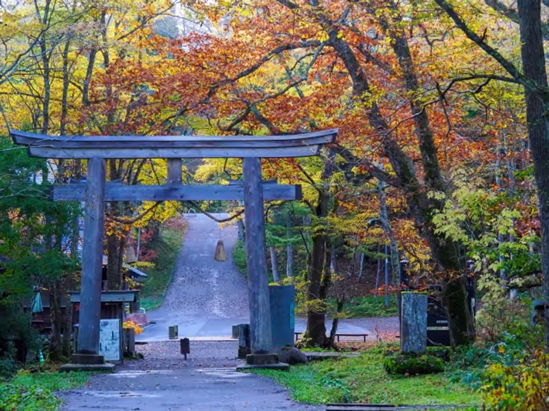 Nagano Private Tour - Many locals' favorite spot
