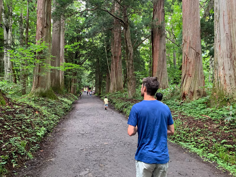 Nagano Private Tour - Refreshing walk through 250yrs old cider grove