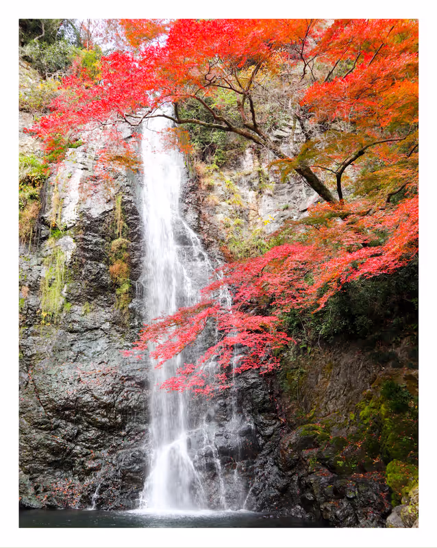 Osaka Private Tour - Minoh Falls