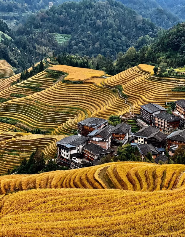 Guilin Private Tour - 
