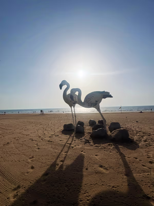 Dubai Private Tour - Flamingo Beach