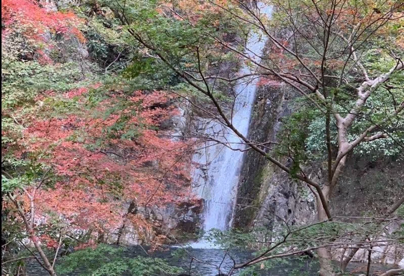 Kobe Private Tour - Female Cascade "Mentaki"