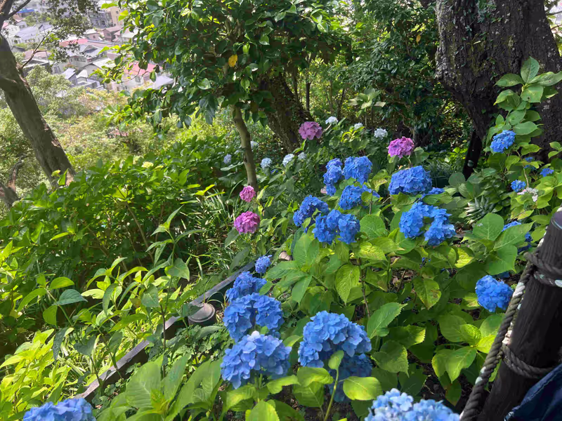 Kamakura Private Tour - 