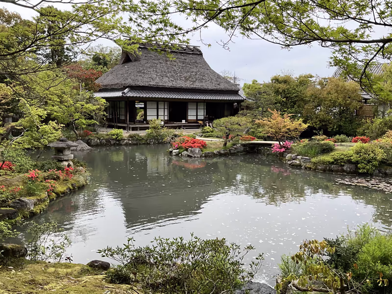 Nara Private Tour - 