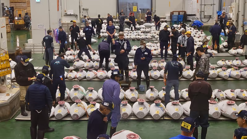 Tokyo Private Tour - Tuna Auction (Frozen tuna)