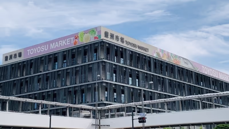 Tokyo Private Tour - Toyosu Market