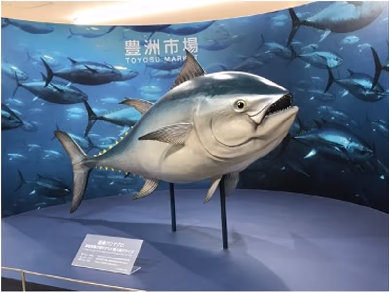 Tokyo Private Tour - The biggest tuna auctioned in this market