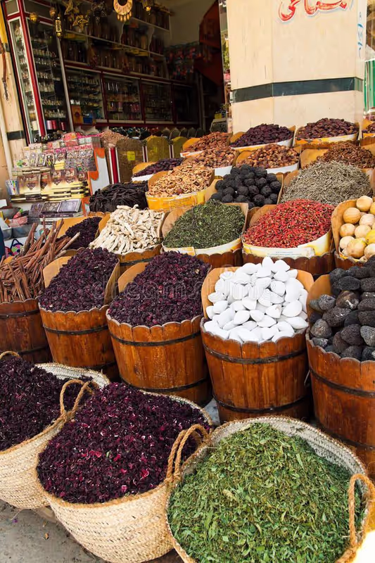 Aswan Private Tour - 