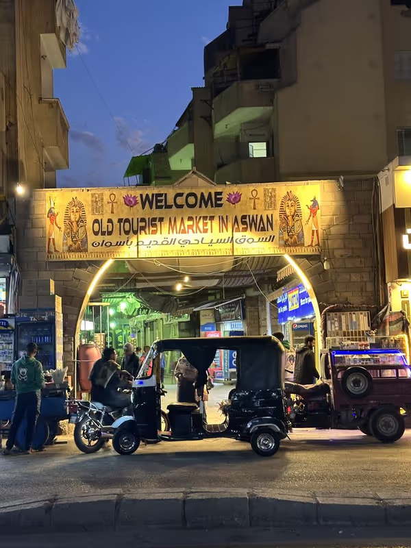 Aswan Private Tour - 