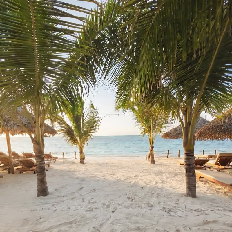 Zanzibar Private Tour - 