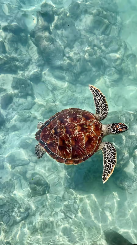 Zanzibar Private Tour - 