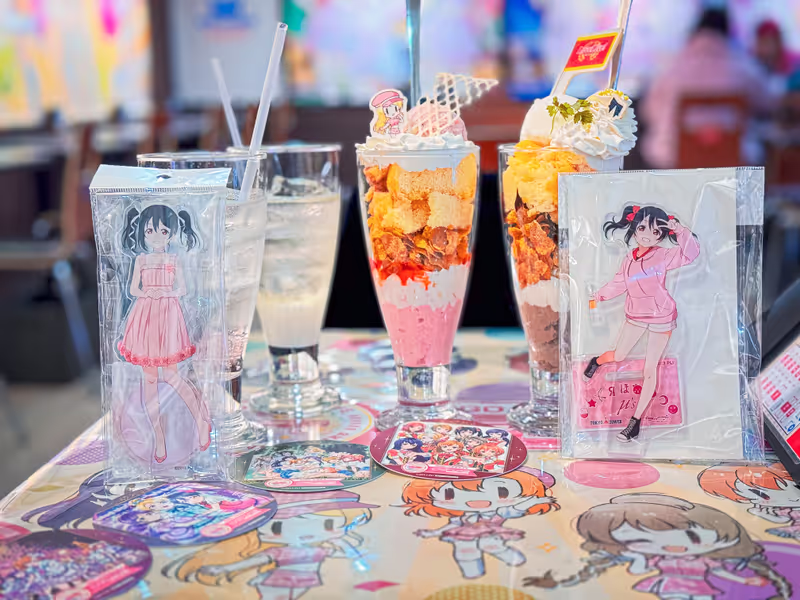 Tokyo Private Tour - Concept cafe hopping in Akihabara