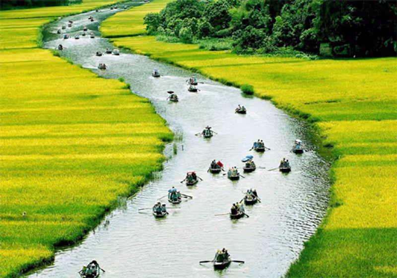 Ninh Binh Private Tour - Tam Coc Boat tour