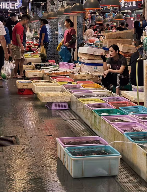 Shenzhen Private Tour - 