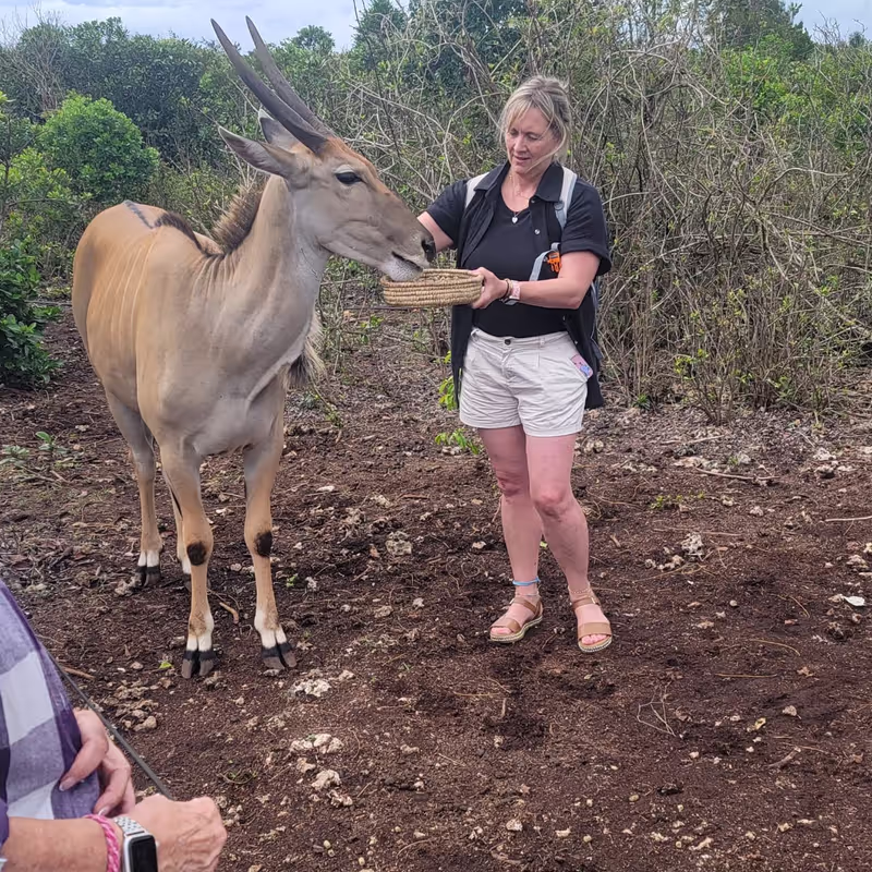 Zanzibar Private Tour - 