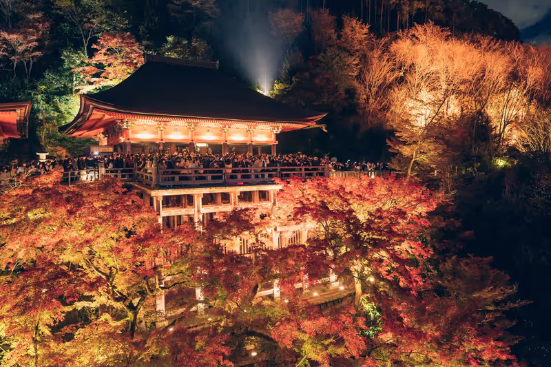 Kyoto Private Tour - 