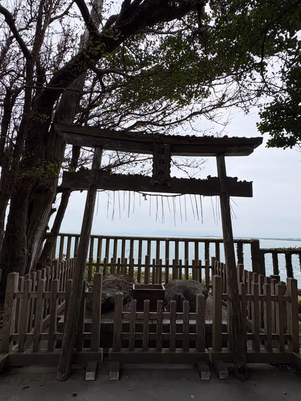 Fukuoka Private Tour - Shikaumi Shrine