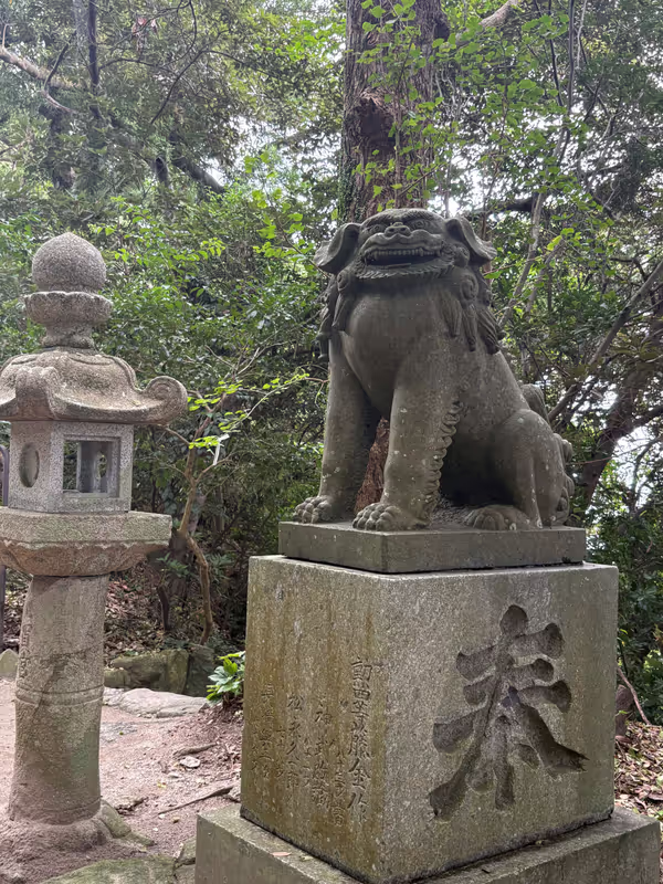 Fukuoka Private Tour - Shikaumi Shrine