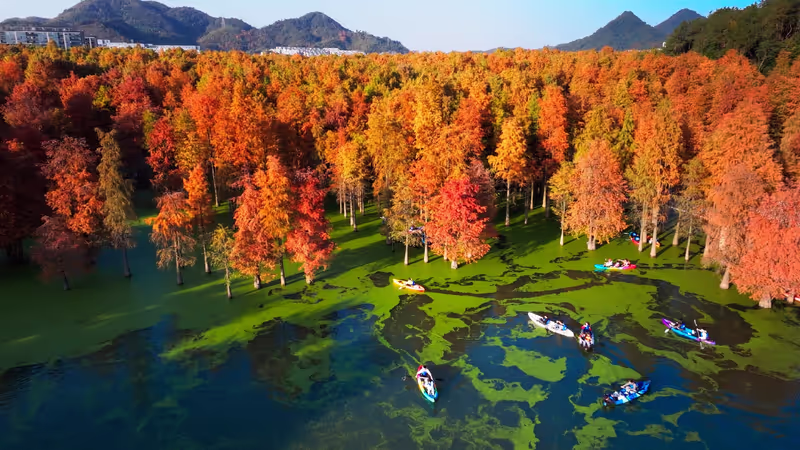 Hangzhou Private Tour - 