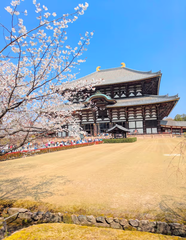 Osaka Private Tour - Todaiji Temple