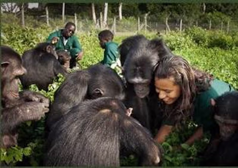 Wakiso Private Tour - 