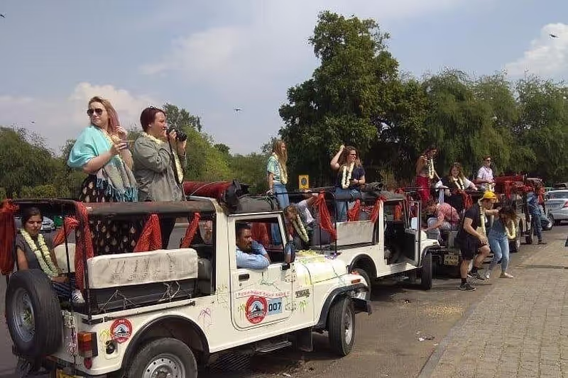 Jaipur Private Tour - Night safari