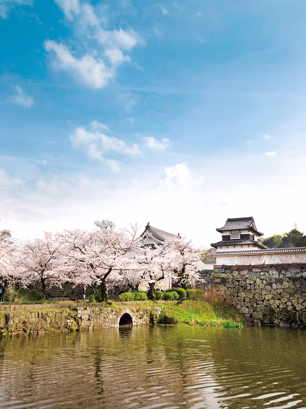 Fukuoka Private Tour - Fukuoka Castle Ruins