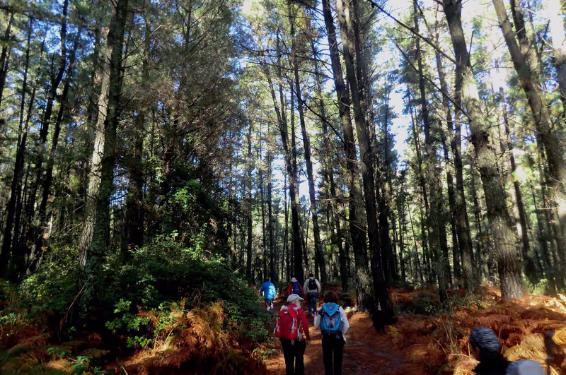 Malaga Private Tour - Discover Andalucias Nature