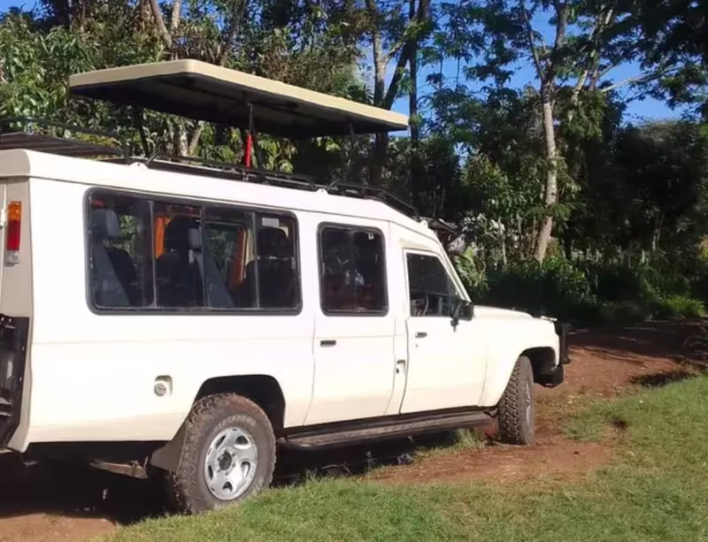 Moshi Private Tour - safari jeep (outside appearance)