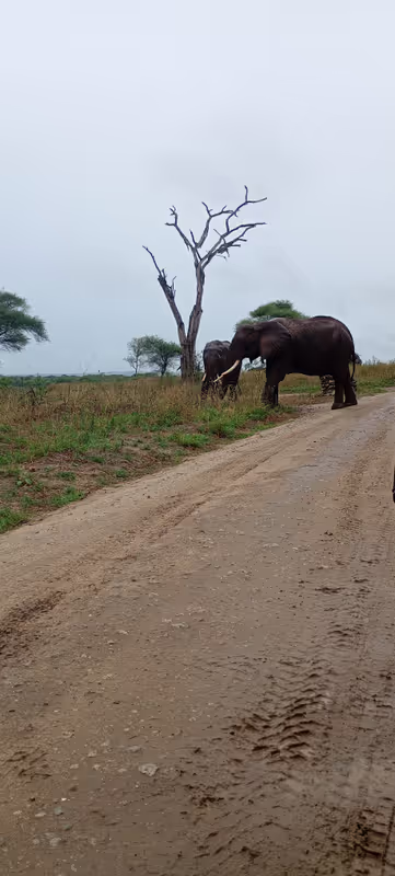 Moshi Private Tour - 