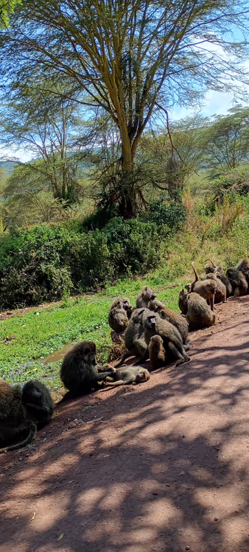 Moshi Private Tour - 
