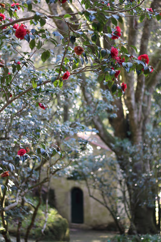 Lisbon Private Tour - Pena Park