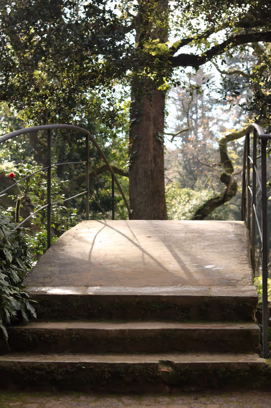 Lisbon Private Tour - Pena Park