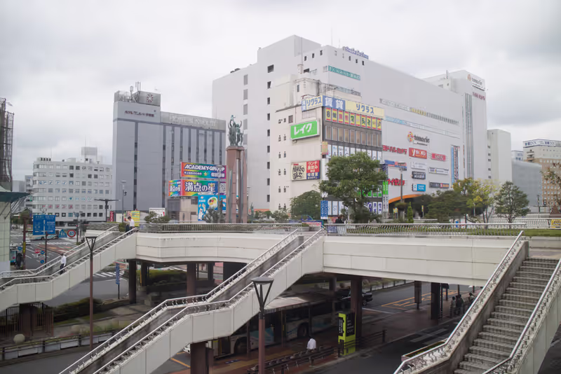 Tochigi Private Tour - 