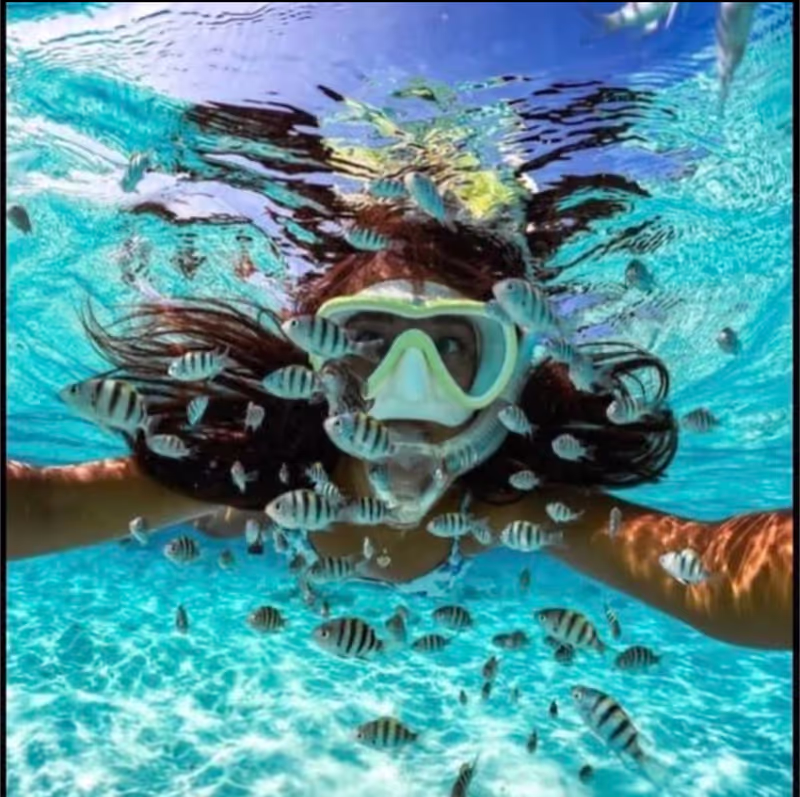 Zanzibar Private Tour - 