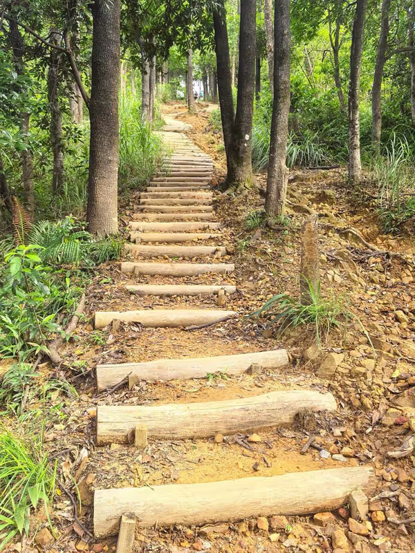 Shenzhen Private Tour - 