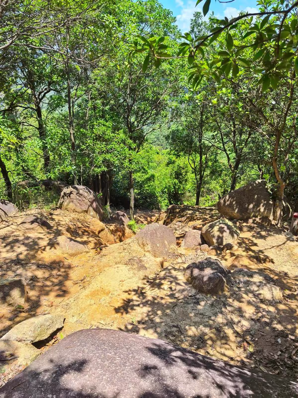 Shenzhen Private Tour - 