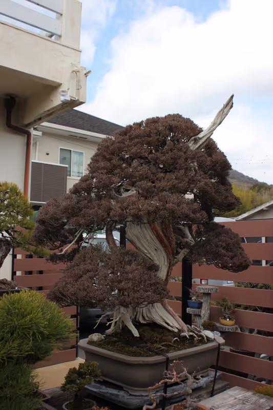 Kagawa Private Tour - 