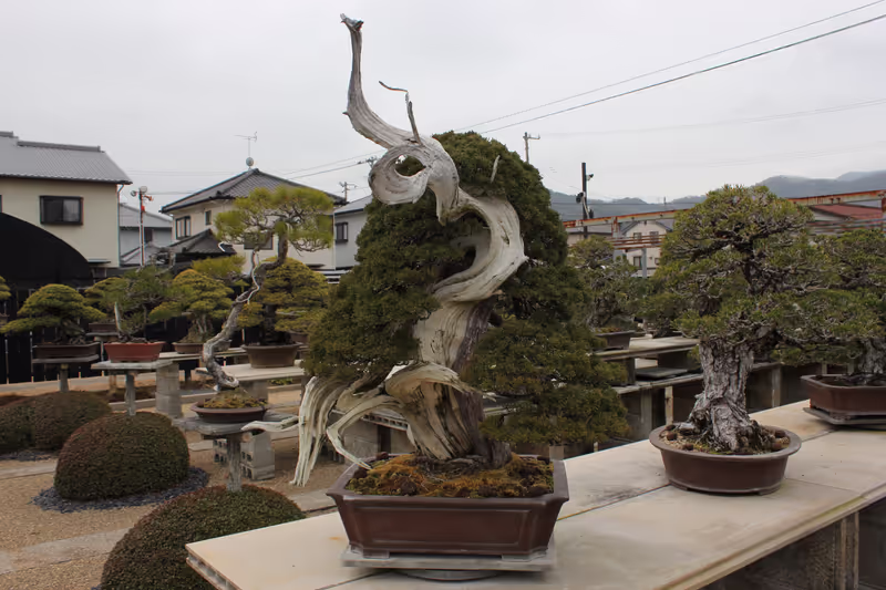 Kagawa Private Tour - 