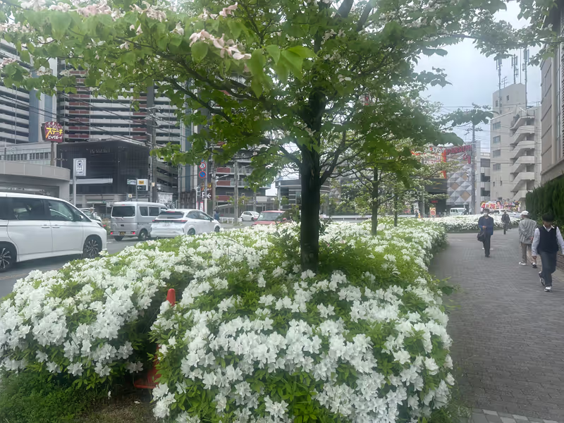 Nara Private Tour - 