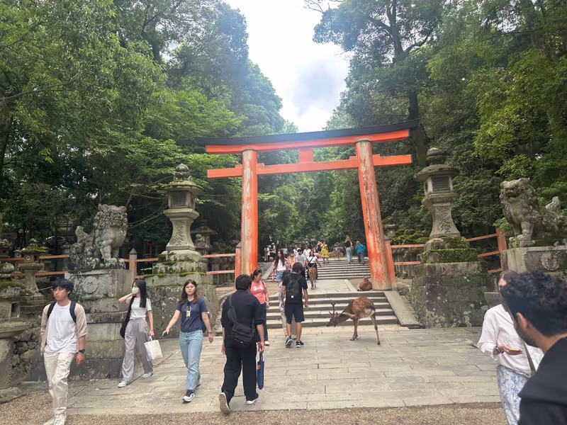 Nara Private Tour - 