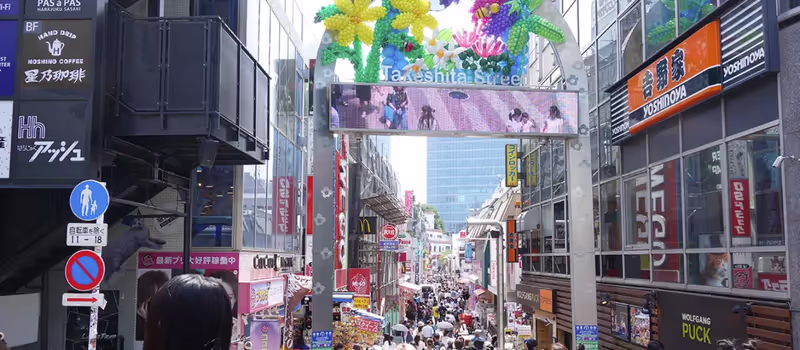 Tokyo Private Tour - 