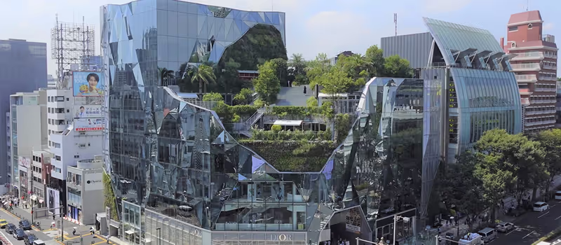 Tokyo Private Tour - 
