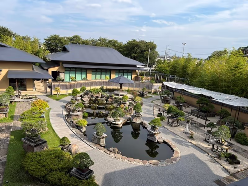 Saitama Private Tour - Open air display, Bonsai Museum
