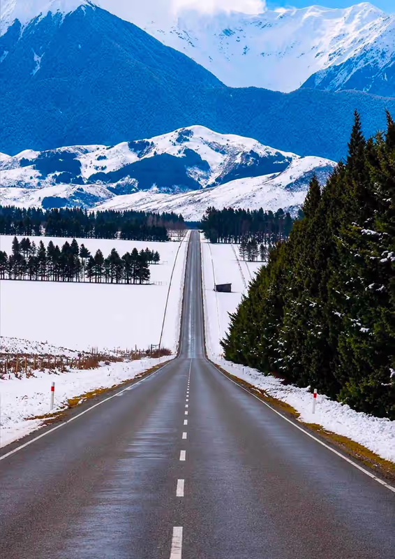 Christchurch Private Tour - 