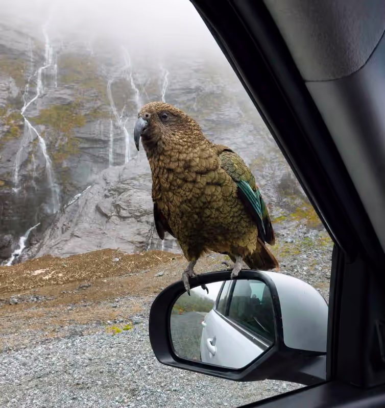 Christchurch Private Tour - 
