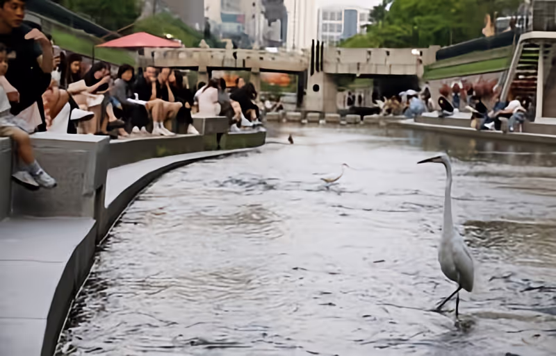 Seoul Private Tour - 