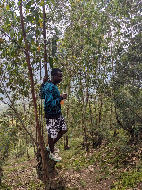 Ruhengeri Private Tour - Walking through lush forest trails on the way