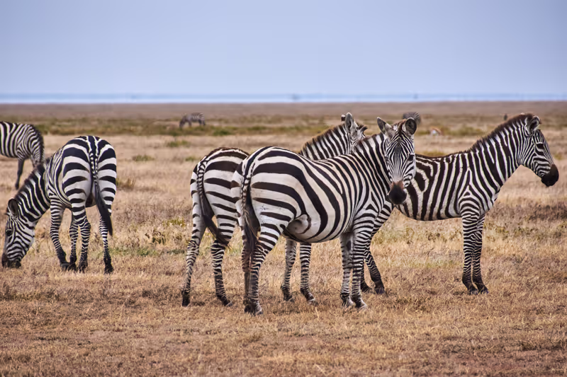 Nairobi Private Tour - 